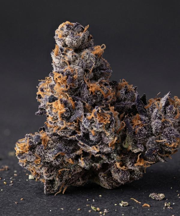 Macro view of a dark purple Jealousy THCA bud with bright orange hairs on a black surface.