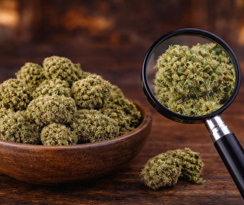 Premium hemp flower available at Green Leaf Botanicals 919 in Cary NC