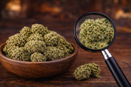 Premium hemp flower available at Green Leaf Botanicals 919 in Cary NC